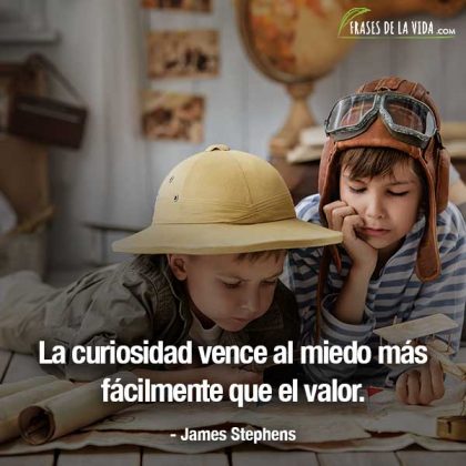 Frases Sobre La Curiosidad Muy Interesantes Con Im Genes