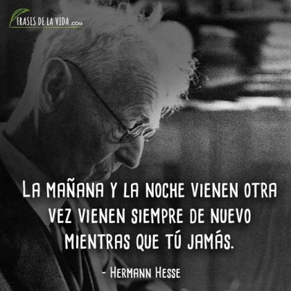 Frases De Hermann Hesse Escritor Pac Fico Y M Stico Con Im Genes