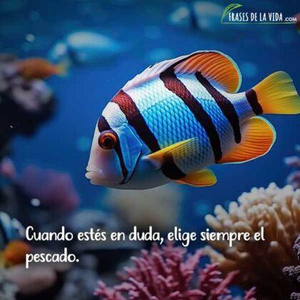 Frases De Peces Citas Y Refranes Sobre Pescados