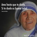 frases-teresa-de-calcuta-ama-hasta