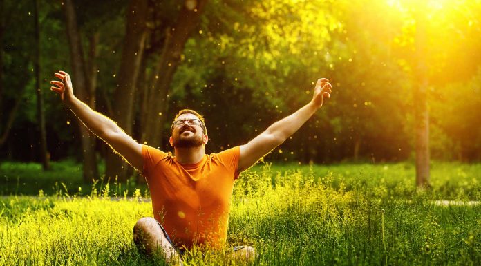 100 Frases de Alegría | Para combatir cualquier obstáculo Frases de alegría