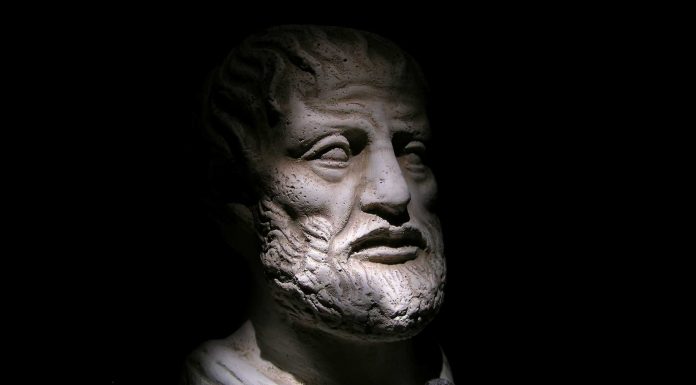 100 Frases de Aristóteles para acercarnos a su pensamiento Frases de Aristóteles