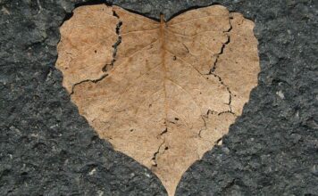 150 Frases de desamor | Para corazones rotos 150 Frases de desamor | Para Corazones Rotos