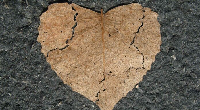 150 Frases de desamor | Para corazones rotos 150 Frases de desamor | Para Corazones Rotos