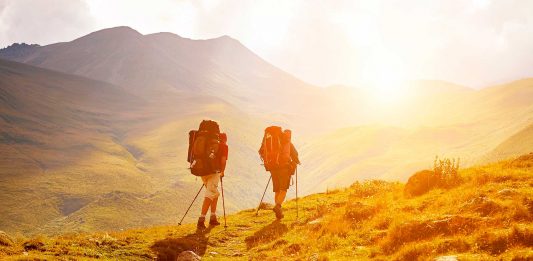 160 Frases de perseverancia | La cualidad de los luchadores Frases de perseverancia