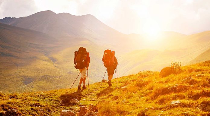 160 Frases de perseverancia | La cualidad de los luchadores Frases de perseverancia