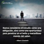 Frases para estudiar, frases de Albert Einstein