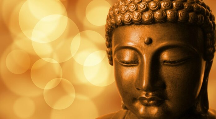 140 Frases de Buda | Para reflexionar sobre la vida Frases de Buda | Para reflexionar sobre la vida