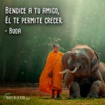 Frases de Buda, 5
