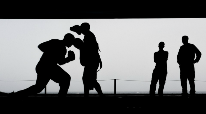 60 Frases de Rocky | La Saga del Boxeo frases de rocky