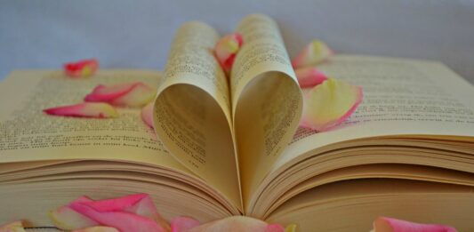 100 Frases de amor de libros ¿Quisieras dedicarlas? Frases de amor de libros ¿Quisieras dedicarlas?
