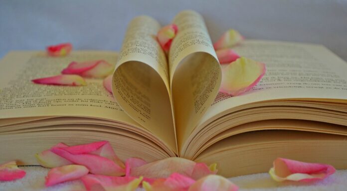 100 Frases de amor de libros ¿Quisieras dedicarlas? Frases de amor de libros ¿Quisieras dedicarlas?