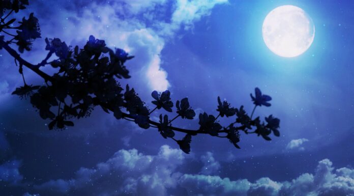 70 Frases de Buenas Noches | Para terminar el día con amor Frases de buenas noches ¡que tengas dulces sueños!