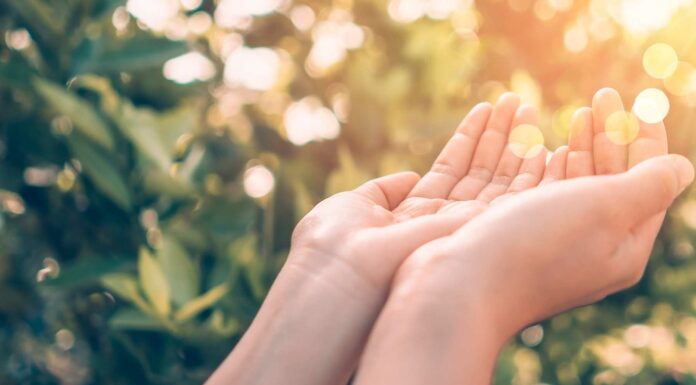 100 Frases de humildad y sencillez | Imprescindibles frases de humildad y sencillez