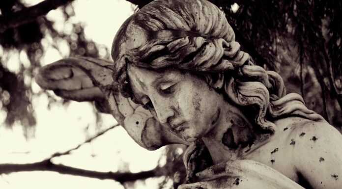 100 Frases de Luto | Superar una pérdida no es fácil frases de luto