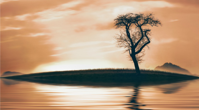 110 Frases de reflexión cortas ¡anímate y analízalas! Frases de reflexión cortas ¡anímate y analízalas!