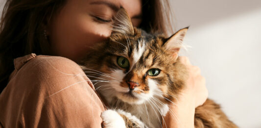 50 Frases de Cariño | Cortas y bonitas para expresar amor frases de cariño