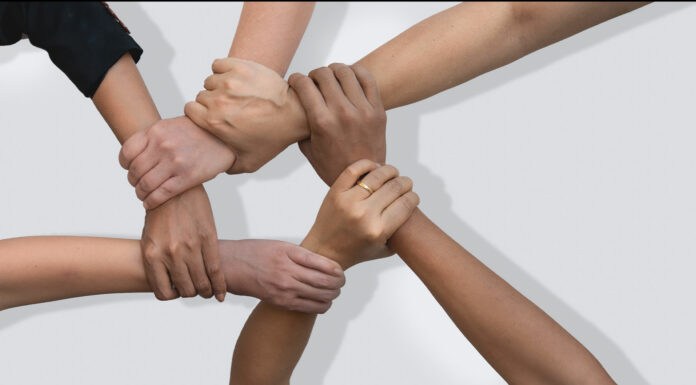 50 Frases para fomentar el trabajo en equipo trabajo en equipo frases