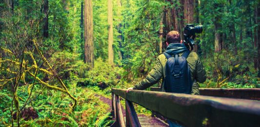 100 frases de fotografía para capturar lo invisible Frases de fotografía para capturar lo invisible