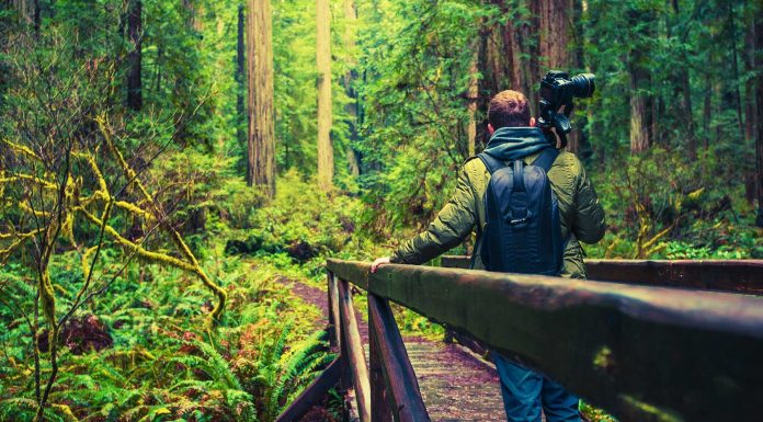 100 frases de fotografía para capturar lo invisible Frases de fotografía para capturar lo invisible