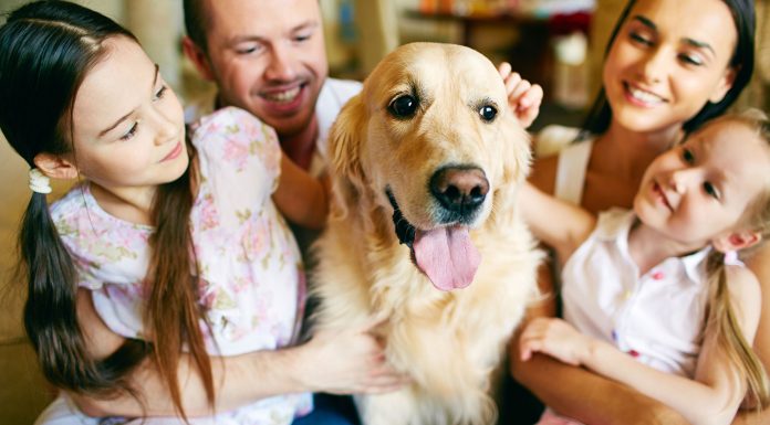 150 Frases de Familia | Para mantenerla unida frases de familia