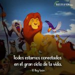 Frases de Disney, frases de El Rey León