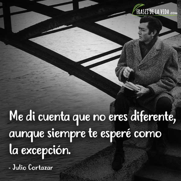 120 Frases de Julio Cortázar que te enamorán [Con Imágenes]