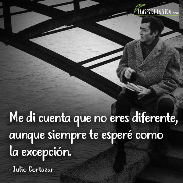 Frases de Julio Cortázar, Me di cuenta que no eres diferente, aunque siempre te esperé como la excepción.