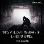 Frases de olvido, frases de Vicente Blasco Ibáñez