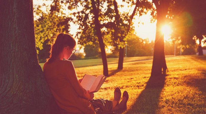 150 frases de lectura para que nunca dejes de leer 30 frases de lectura para que nunca dejes de leer 0