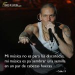 Frases de Calle 13, Mi música no es para las discotecas, mi música es pa´sembrar una semilla en un par de cabezas huecas