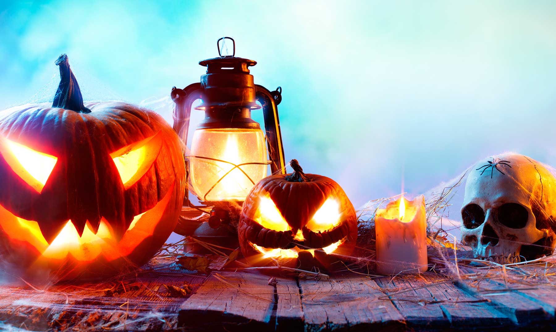 30 Frases de Halloween | De películas de terror [Con Imágenes]