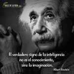 Frases de inteligencia, Frases de Albert Einstein 3