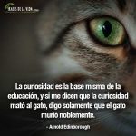 Frases sobre la curiosidad, frases de Arnold Edinborough