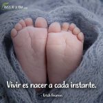 Frases sobre la vida, frases de Erich Fromm