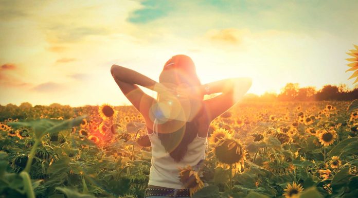 250 Frases Sobre la Vida | Reflexiona acerca de nuestra existencia Frases sobre la vida