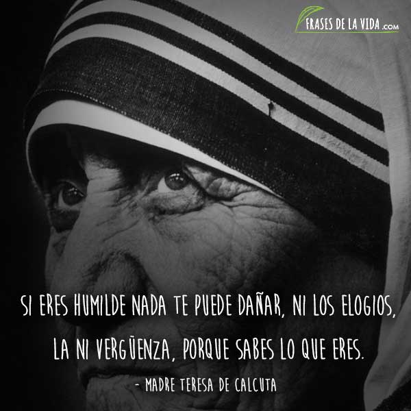 80 Frases De La Madre Teresa De Calcuta Un Mundo Mejor Imágenes
