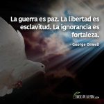 Frases de paz, frases de George Orwell