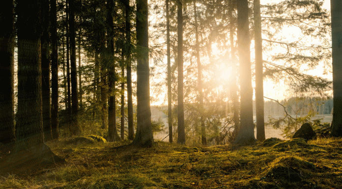 160 frases para la vida que no te dejarán indiferente frases para la vida