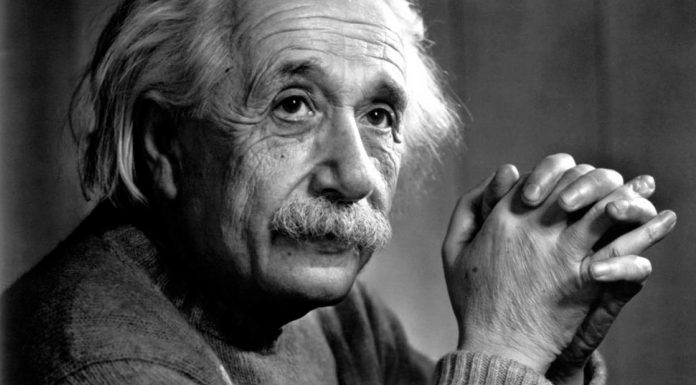 120 Frases de Albert Einstein | Más allá de la relatividad Frases de Albert Einstein