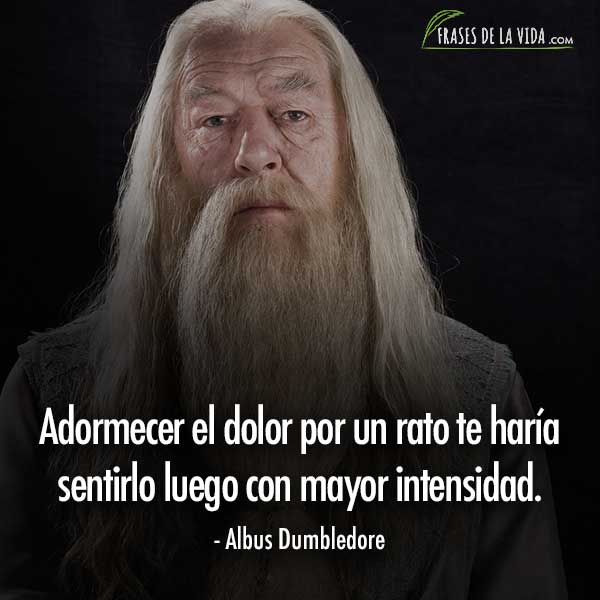 Frases de Harry Potter, frases de Albus Dumbledore