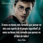 Frases de Harry Potter, frases de Harry Potter