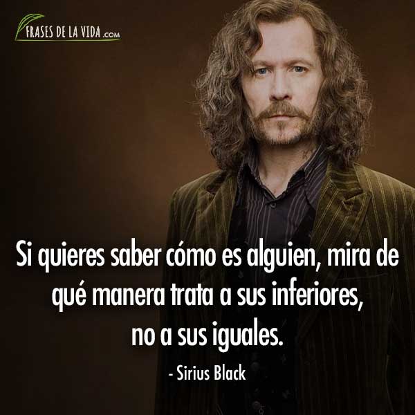 Frases Harry Potter• ツ