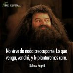 Frases de Harry Potter, frases de 3