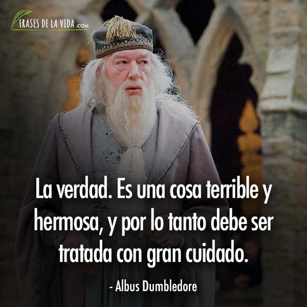 Frases de Harry Potter, frases de Albus Dumbledore
