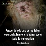 Frases de Harry Potter, frases de Albus Dumbledore