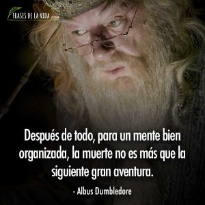 30 Frases De Harry Potter: Las Mejores Frases De La Saga [Con Imágenes]