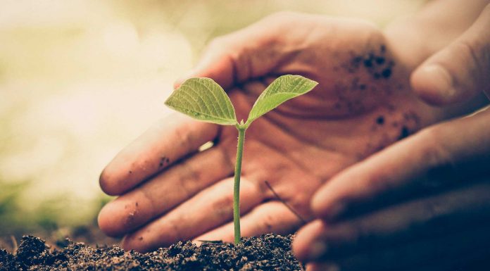 130 frases de esperanza con las que enfrentarse al futuro Frases de esperanza