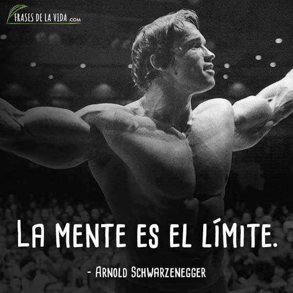 Frases motivadoras, frases de Frases motivadoras, frases de Arnold Schwarzenegger