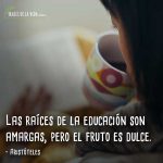 Frases para estudiantes, frases de Aristóteles